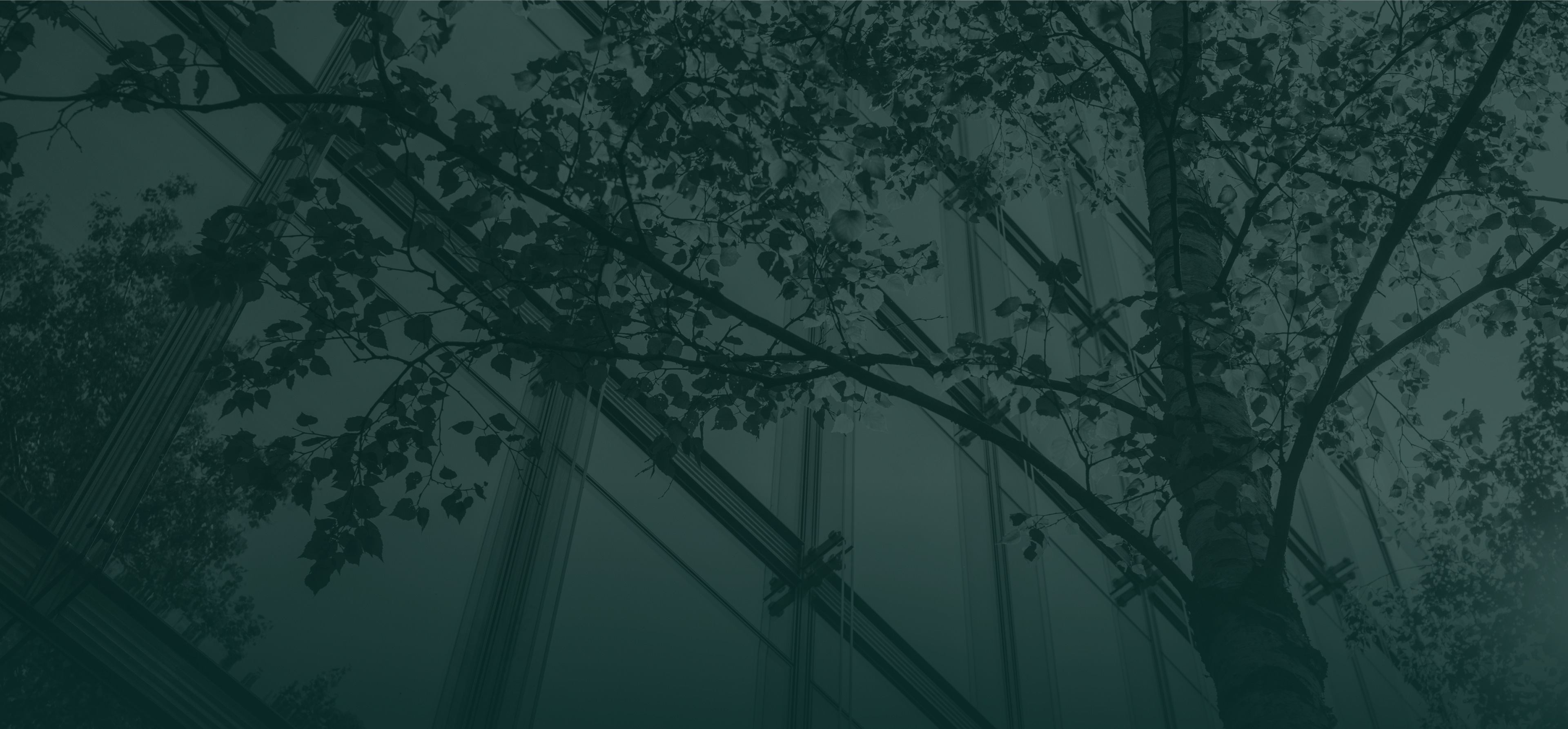 buzzacott-environmental-social-and-governance